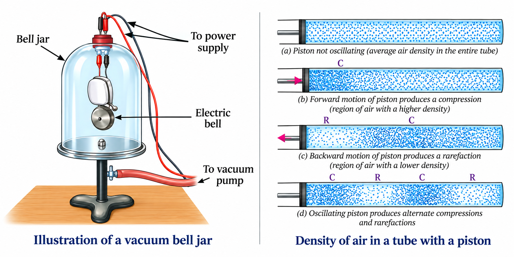 NCERT Figure 10.7 & 10.9: Vacuum Bell Jar Experiment and Air Density Propagation Model